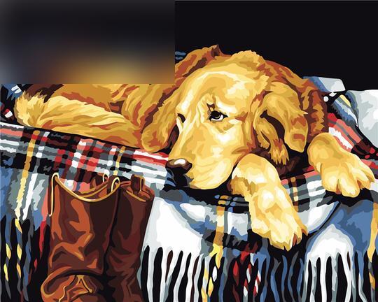 Earn Points by Joining Our Most Valued Painter (MVP) Club! - Painting By Number