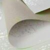 Snowshoes - Paint by Numbers Kit