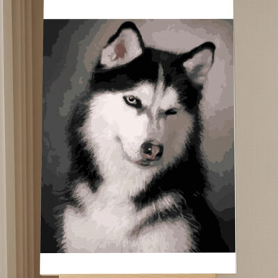 Dog Cute Husky Paint by Numbers Kit