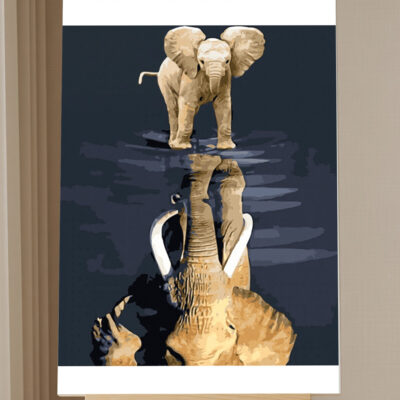 Paint by Numbers Kit Elephant Baby Reflection