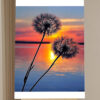 Kit de Pintar por Números Girasol Floral