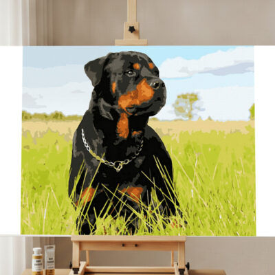 Rottweiler Dog Paint by Numbers Kit