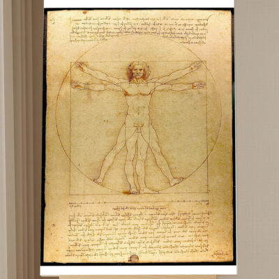 Vitruvian Man — Da Vinci Paint by Numbers Kit