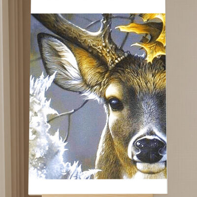 Deer Paint by Numbers Kit