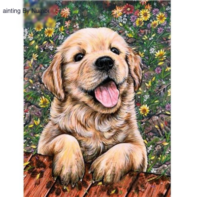 Cute Dog Puppy Paint by Numbers Kit - DIY Art