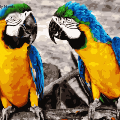 Cute Parrots Paint by Numbers Kit - DIY Art