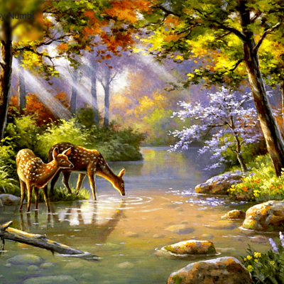 Deers Landscape Paint by Numbers Kit - DIY Art