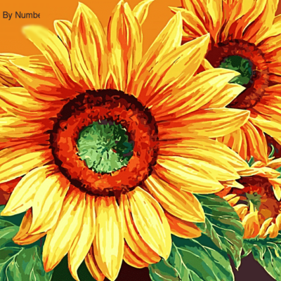 Flower Sunflower Paint by Numbers Kit - DIY Art