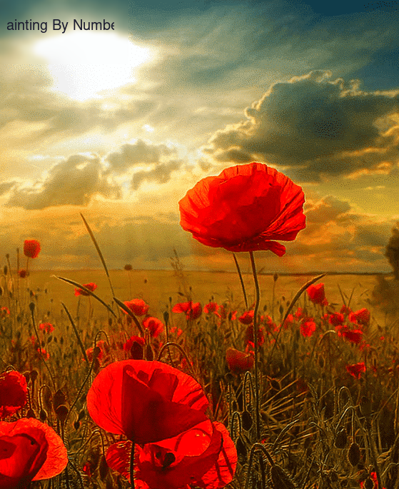 Flowers Azalea Paint by Numbers Kit - DIY Art