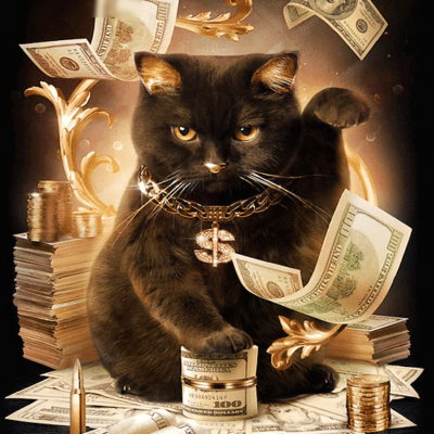 Lucky Cat Paint by Numbers Kit - DIY Art