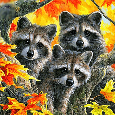 Maple Tree Raccoons Paint by Numbers Kit - DIY Art