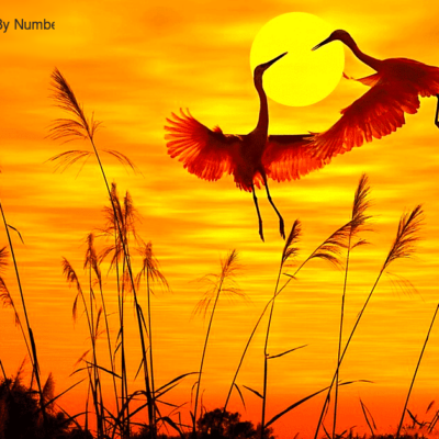 Sunset Crane Landscape Paint by Numbers Kit - DIY Art