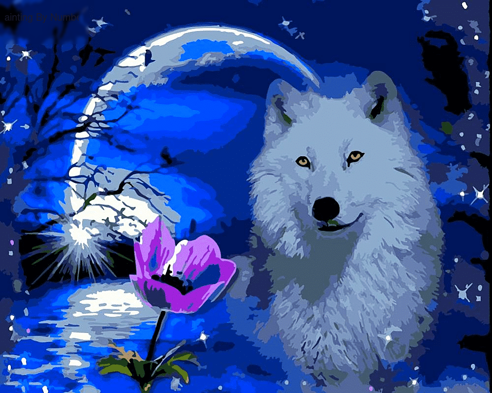 Wolf Moonlight Paint by Numbers Kit - DIY Art
