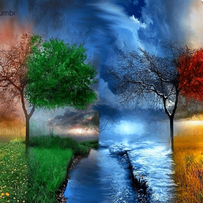 Tree thunders Paint by Numbers Kit - DIY Art