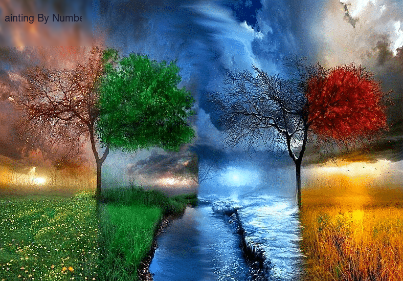 Tree thunders Paint by Numbers Kit - DIY Art