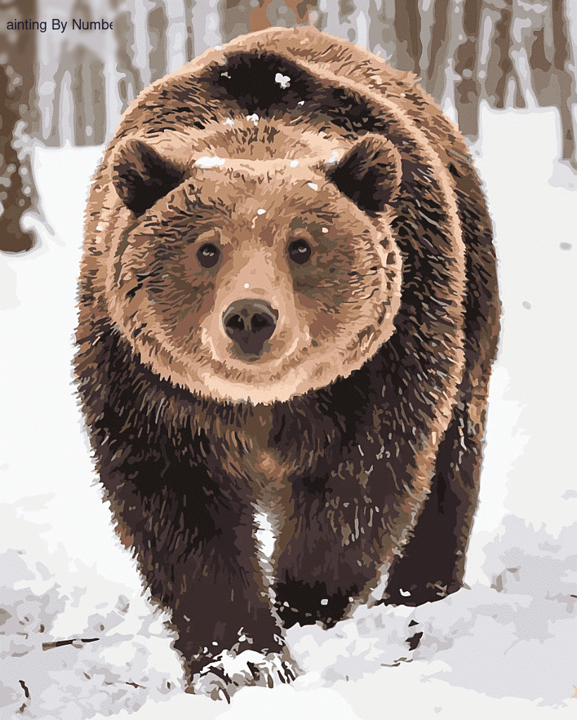 Snow Bear Paint By Numbers Kit - Painting By Number