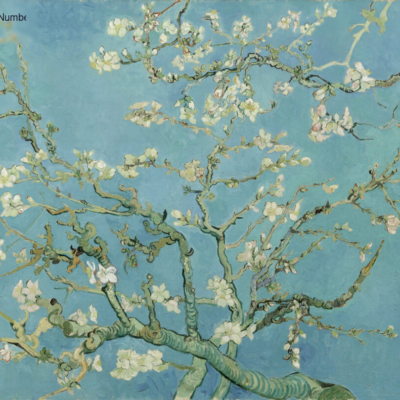 Almond Blossom by Van Gogh - Paint by Numbers Kit