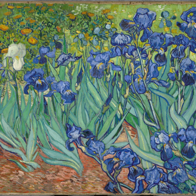 Irises by Van Gogh - Paint by Numbers Kit