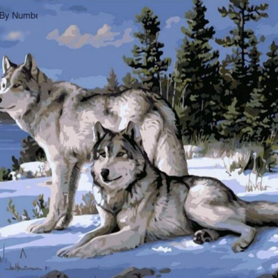 Two Wolves Paint by Numbers Kit - Painting By Number