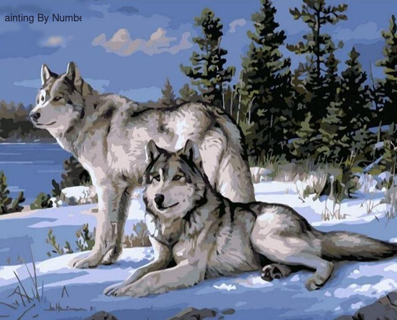 Two Wolves Paint by Numbers Kit - Painting By Number